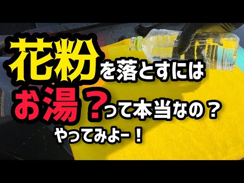 【花粉】の除去には…お湯⁈やってみました！