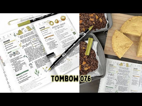 Journal With Me: Featuring Tombow 076 | Hobonichi Cousin Planner