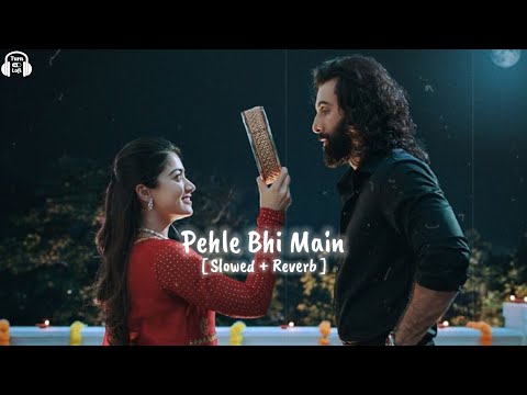 Pehle Bhi Main [ Slowed & Reverb ] Animal | Vishal Mishra | Ranbir Kapoor | Romantic Lofi Song