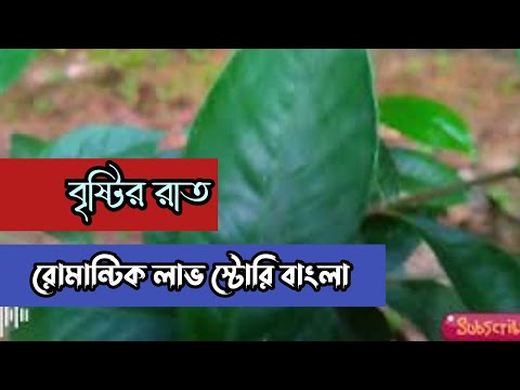 বৃষ্টির রাত || রোমান্টিক লাভ স্টোরি বাংলা || Anika Dairy