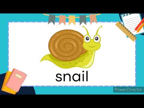 Letter Ss | Letter Sounds | Alphabet | Phonics | Read and Learn Words that Start with Ss