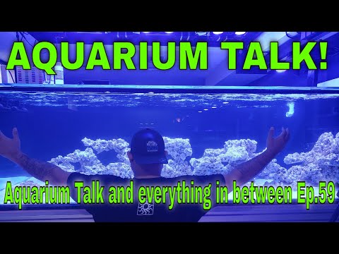 Aquarium Talk!!