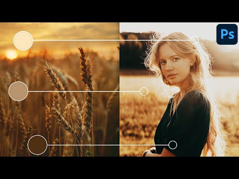 Steal The Color Grading From ANY Photo With Photoshop