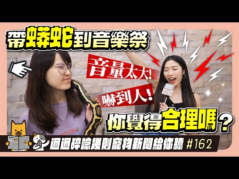 EP. 162 音量太大、嚇到人！帶蟒蛇到音樂祭 你覺得合理嗎？｜毛爸媽碎碎唸