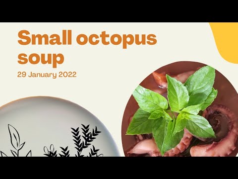 Small octopus soup with full of herbs | ต้มส้มปลาหมึกสมุนไพร อร่อยได้ใจ 10/10