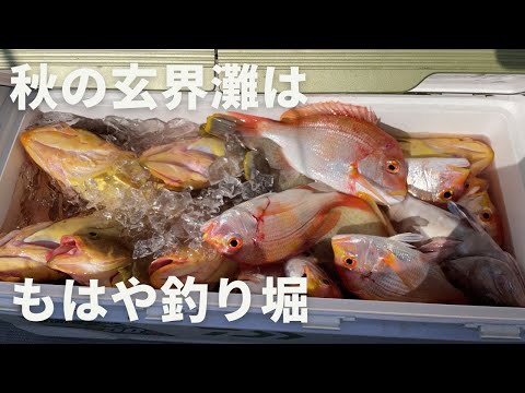 ただでさえ釣れる玄界灘が秋になると釣り堀以上に爆釣する。タイラバでもスロージギングでもなんでも入れ食い