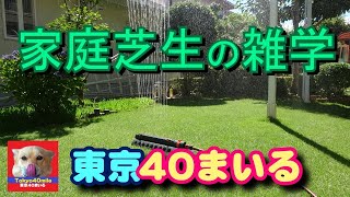 家庭芝生の雑学 東京40まいる  芝生づくりの考え方