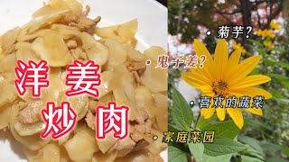 洋姜炒肉 | 菊芋？鬼子姜？可以降血糖的洋姜你吃过吗？#糖尿病