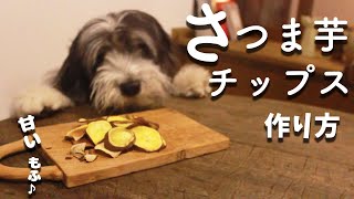 犬おやつレシピ｜さつまいもチップスの作り方【もふ飯】