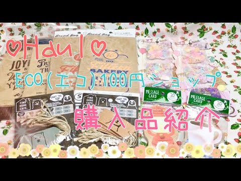 ♡Haul♡ECO(エコ)100円ショップ♡購入品紹介♡