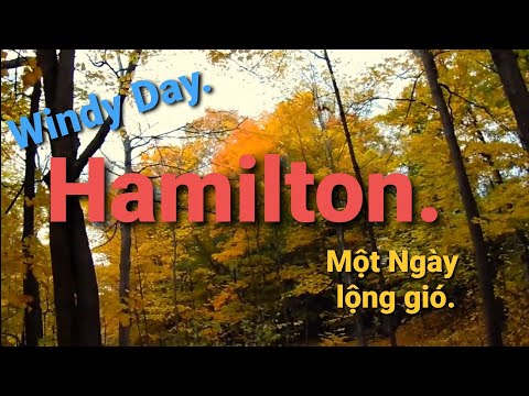 Autumn: One Windy Day - Một Ngày lộng gió Thu.