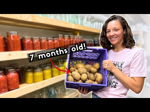 FOOD SECURITY: Our Basement Grocery Store (LATE WINTER Edition)