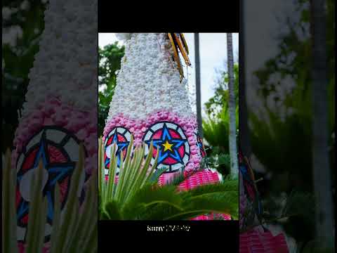 Sony ZVE-10 Digital Camera vs Xioami 13 Ultra Camera Phone: 75mm FF Equiv RAW to JPEG Comparison