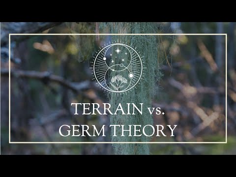 Why do we get sick? Terrain vs. germ theory