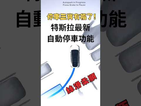 停車三寶有福了 特斯拉最新全自動停車功能 情境1 | Tesla latest auto parking feature  #teslafsd #tesla #autopark