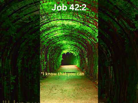 Job 42:2