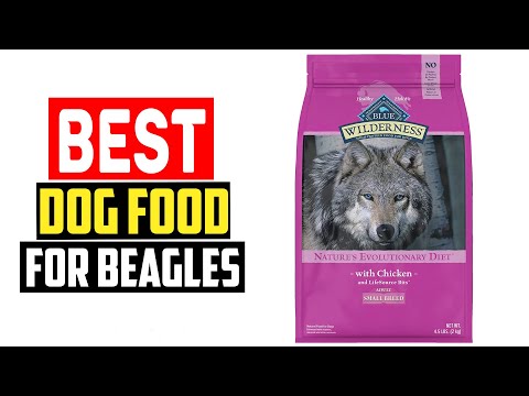 ✅ Top 5 Best Dog Food for Beagles in 2023