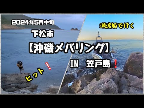 【沖磯メバリング】in笠戸島❕2024年5月中旬