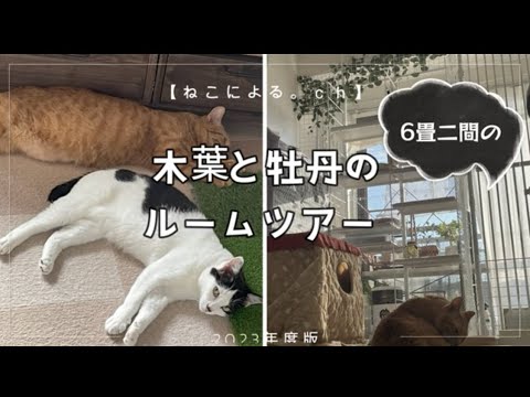 6畳二間、木葉と牡丹のルームツアー【ねこによる。ｃｈ】 ＃ルームツアー ＃キャットハウス ＃野良猫 #保護猫