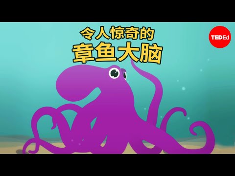 为什么章鱼的大脑这么神奇 - Cláudio L. Guerra