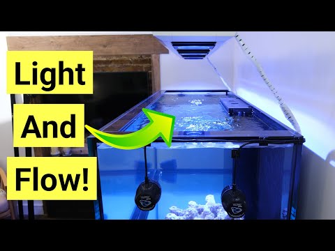 Adding Lights & Flow | Red Sea Reefer S-850 G2+ Episode 3