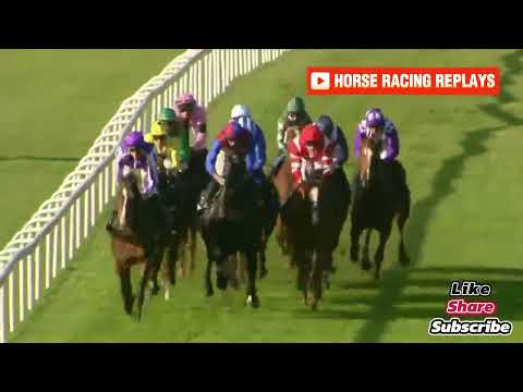 Anmaat / (G1) Champion Stakes Ascot 19 oct 2024