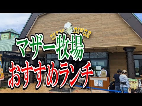 【千葉グルメ旅】マザー牧場のおすすめランチをご紹介