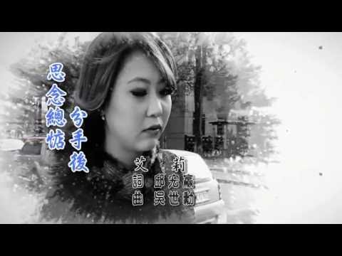 艾莉-思念總惦分手後 MV