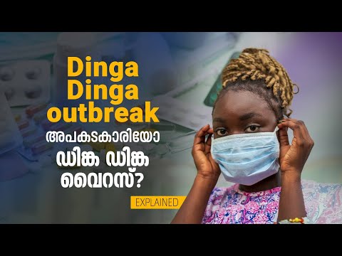 ശരീരം അമിതമായി വിറച്ച് സ്വയം നൃത്തംചെയ്യുന്ന അവസ്ഥ; അപകടകാരിയാണോ ഡിങ്ക ഡിങ്ക വൈറസ്? | DINGA DINGA