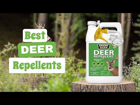 Choosing the Best Deer Repellents: Protect Your Garden and Property | The Guardians Choice