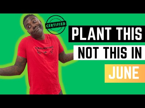 What can I plant this month? June Planting Schedule : Zone 9