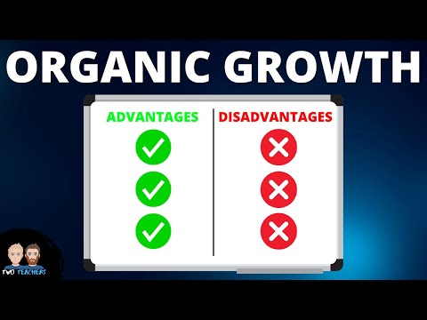 What are the Advantages & Disadvantages of Organic Growth?