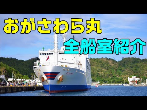 【完全版】おがさわら丸の全船室を徹底紹介！