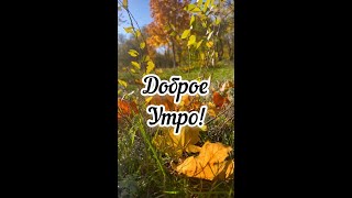 Доброе утро #доброеутро #хорошегодня  #пожеланиядоброгоутра