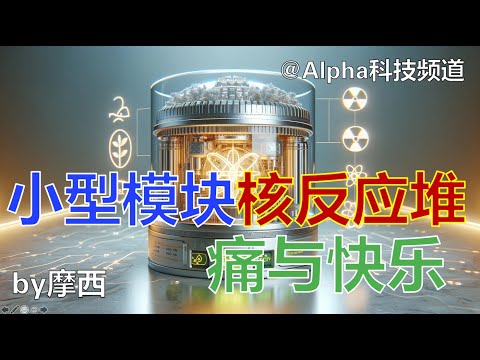 小型模块化核反应堆SMR的痛与快乐｜Revolutionizing Energy: The Rise of Small Modular Nuclear Reactors @Alpha科技频道