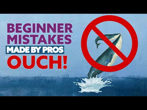 Beginner Mistakes made by Pros - Whale Mural Hawaii (2023)