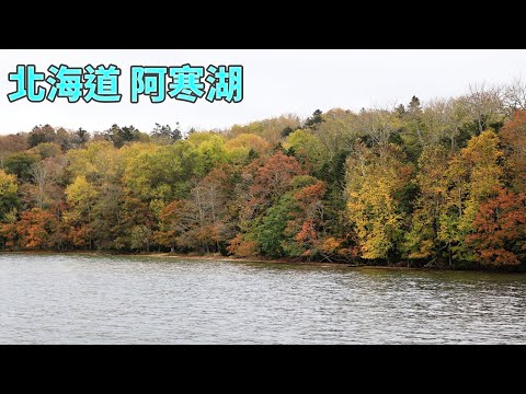 日本北海道 阿寒湖紅葉 綠球藻觀察中心