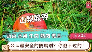 033 化学防腐剂-山梨酸钾 E202 真的是从山梨果中提取出来的吗？你知道买到这种防腐剂有多容易吗？新鲜蔬菜、饮料、生肉、熟肉、餐具……化妆品 你想到的想不到的都有可能含有山梨酸钾 我们应该担心吗？