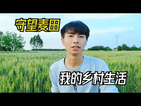 你要写麦田，就不能只写麦田，你要写堆成山的麦子也送不出一个大学生