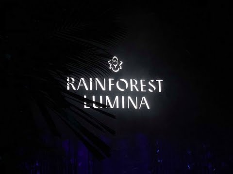 新加坡vlog- 幻光雨林之夜 Rainforest Lumina