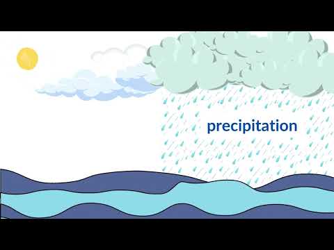 The Water Cycle Animation