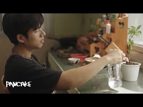 สบายดีมั้ง - PANCAKE [OFFICIAL AUDIO]