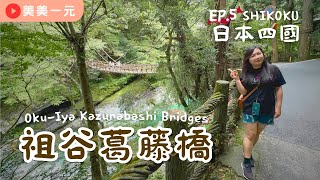 【2023日本四國】ep.5 超刺激驚險的祖谷葛藤橋！日本三奇橋之一！藤蔓編織的古吊橋！超大間隙一眼直穿溪底！擁有平家傳說的琵琶瀑布！懼高人可能無法走的抖抖橋！！｜美美一元 Japan Shikoku