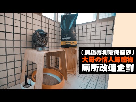 【貓砂推薦】大哥の情人節禮物｜IKEA改造企劃｜環保貓砂｜ feat.黑鑽專利環保貓砂  JUMP NBJ & Sherry  EP90