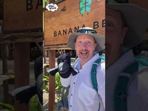 Steve and Maggie in Thailand: Banana Beach #shorts #steveandmaggie #thailand