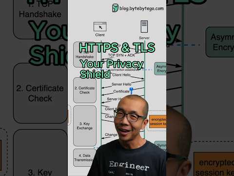 HTTPS & TLS: Your Privacy Shield  #javascript #python #web #coding #programming