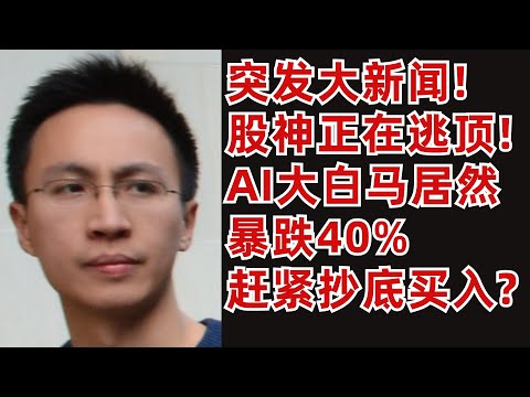 (1).AI大白馬暴跌40%! 趕緊抄底買入? (2).突發大新聞! 巴菲特正在逃頂!? (3).美股科技7巨頭財報中的秘密