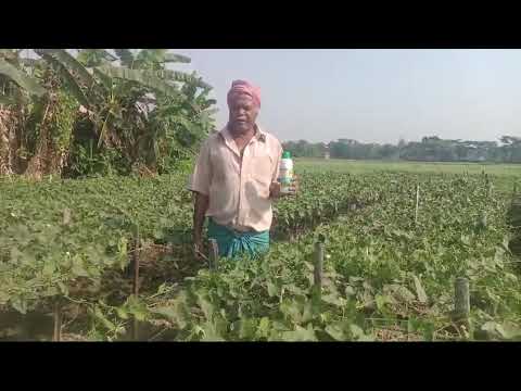 098 Farmer from Hooghly District | West Bengal | Nano Urea Testimonial