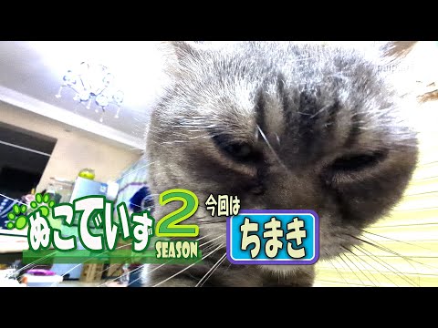 【替えたばかりのこたつ布団を爪でひっかく猫はいませんか】げんだいしゃかいにあわないのにゃ