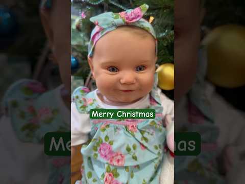 Merry Christmas from Aliyah’s Playborn World #christmas2023 #reborndolls #reborns #rebornmaddie